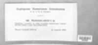 Image Associated With the Occurence